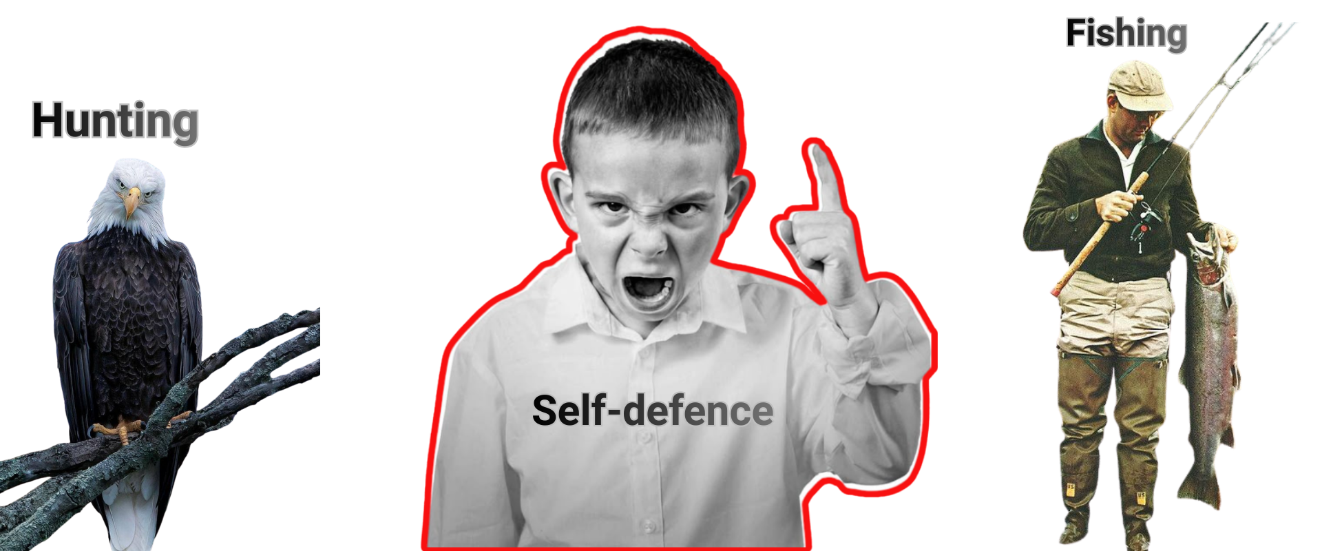 slider image 1621243260e1af0c20-0